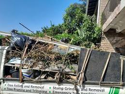 Professional Junk Removal Services in Haltom City, TX